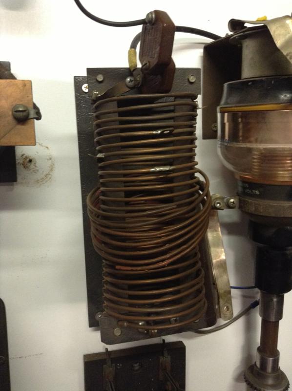 Image of Plant On Copper Coil